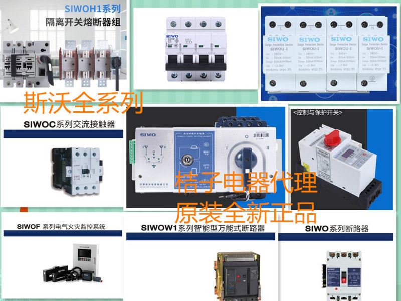 供應(yīng)SIWOQ1-100/3R140A安裝與運(yùn)輸