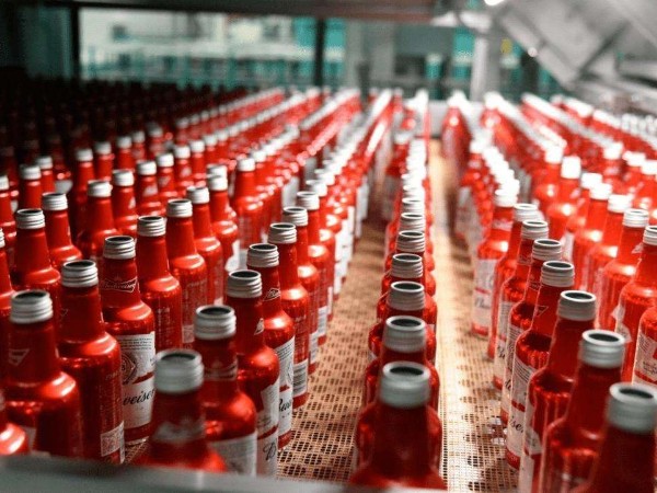 美國某大型啤酒生產(chǎn)廠商訂購啤酒瓶蓋撕碎機(jī)案例分享